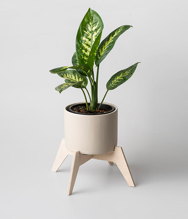 Bloukrans Pot Plant Holder (Ceramic Pot Included)