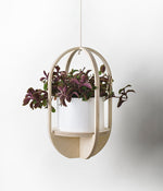 Pill Hanging Pot Plant Holder (Ceramic Pot Included)
