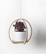 Circular Hanging Pot Plant Holder (Ceramic Pot Included)