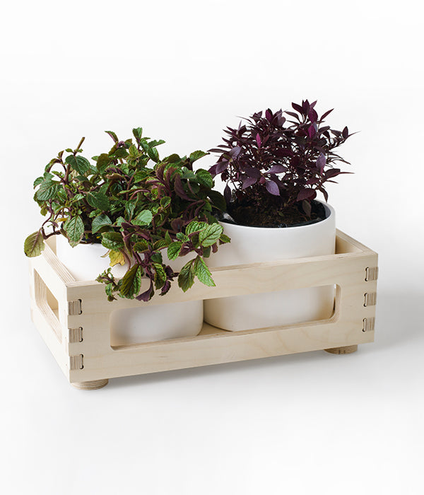 Double Birch Planter Box (Ceramic Pots Included)