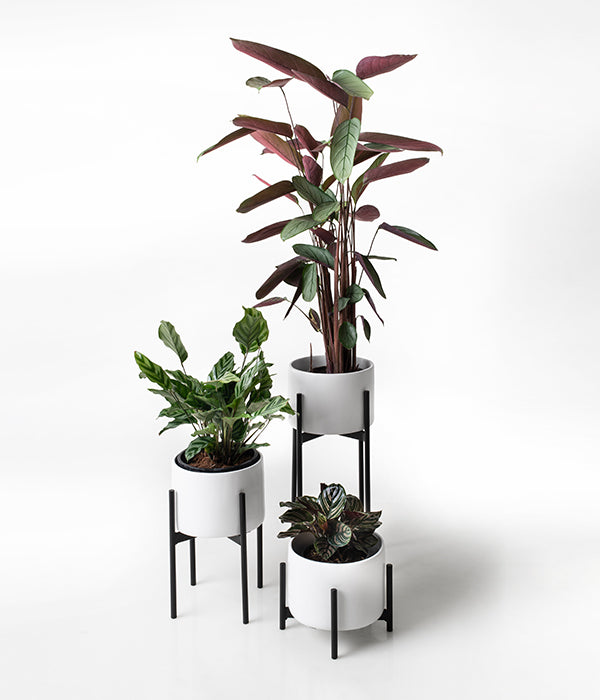 indoor plant pots south africa Trio Metal Planter Set (Ceramic Pots Included)