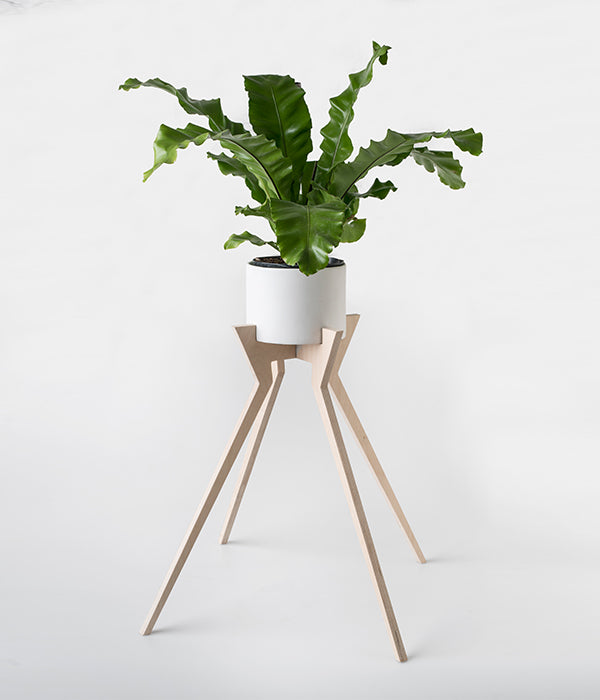 Xeno Pot Plant Holder (Ceramic Pot Included)